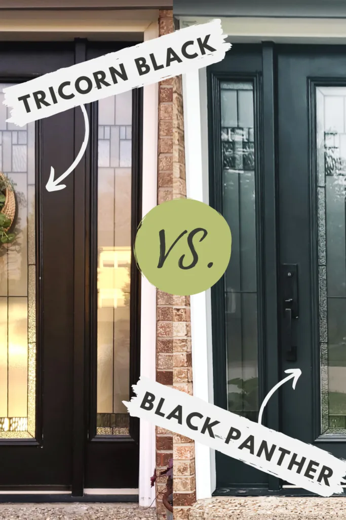 Tricorn Black vs Black Panther, best black paint colors