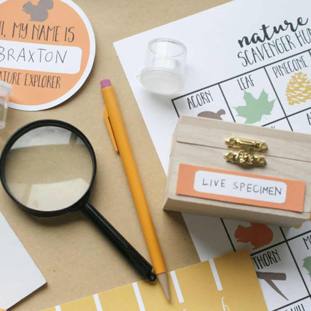 nature kit with magnifying glass, ranger badge, live specimen box, nature sacvenger hunt